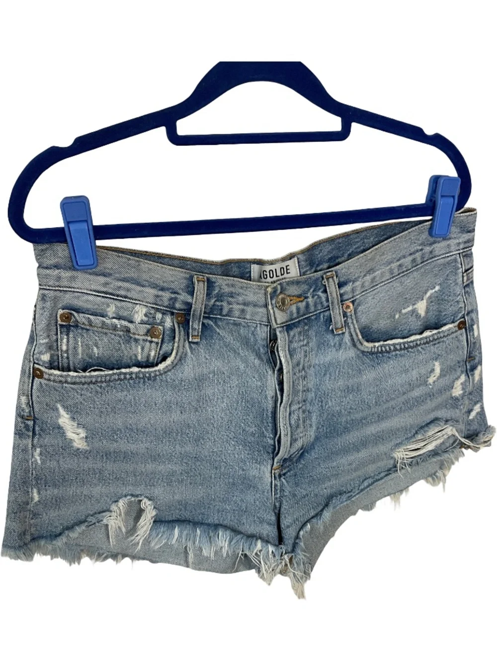 AGOLDE Parker Denim Shorts in Swapmeet